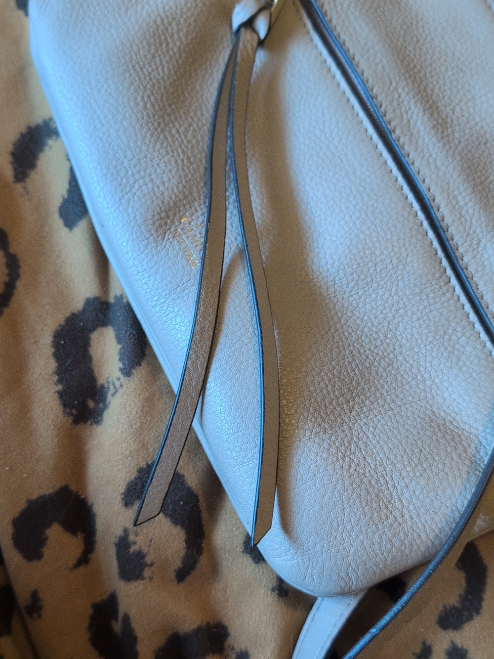 Vince Camuto Pebbled Leather Crossbody Bag in Light Blush with Gold Accent - Picture 10 of 10